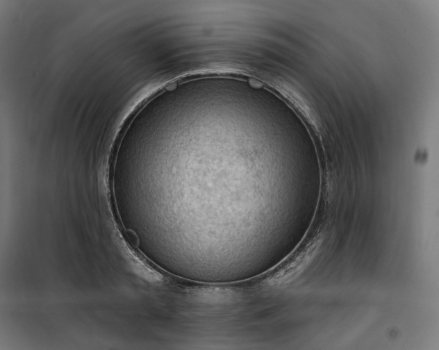 X0000100500797200806201714