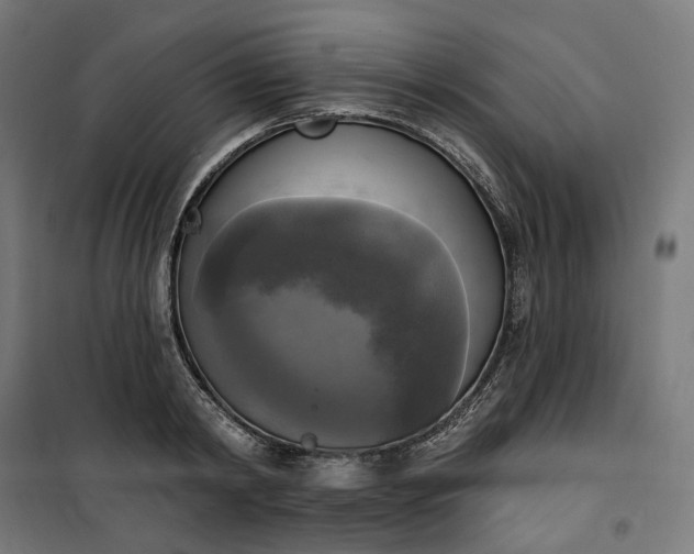 X0000100500798200806201714