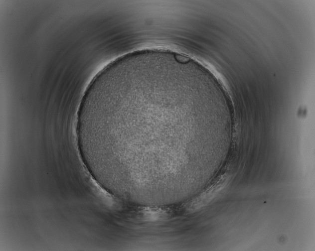 X0000100500799200806201714