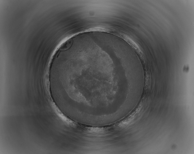 X0000100500800200806201714