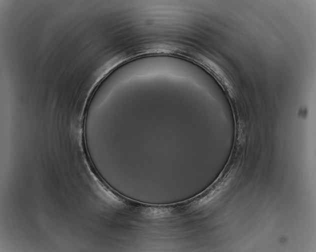 X0000100500802200806201714