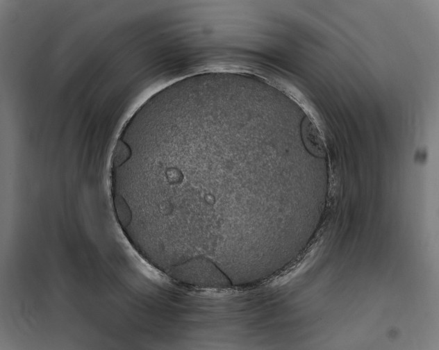 X0000100500803200806201714