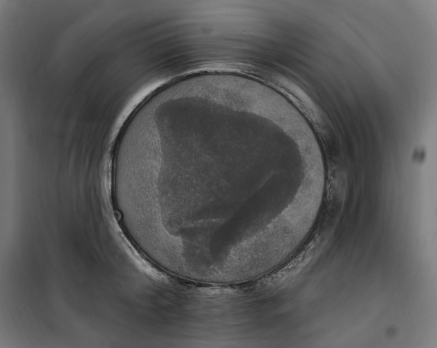 X0000100500804200806201713