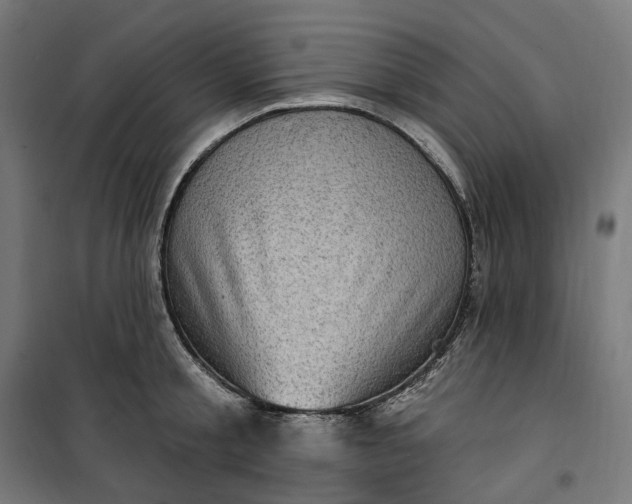 X0000100500805200806201713