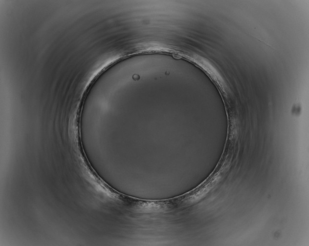 X0000100500806200806201713