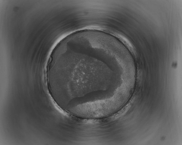 X0000100500808200806201713