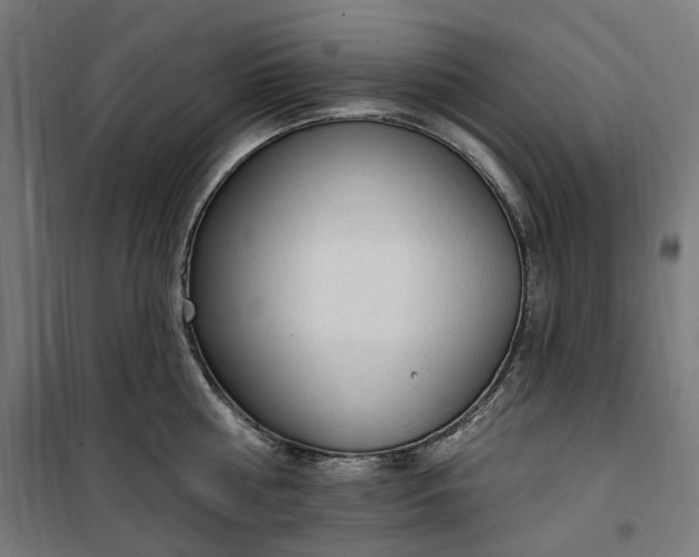 X0000100500810200806201713