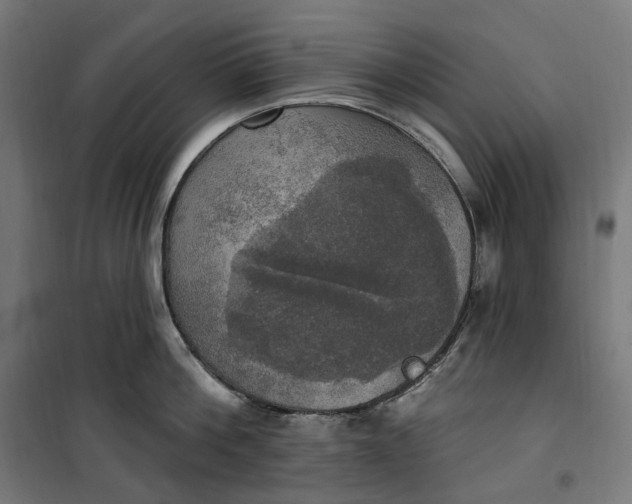 X0000100500812200806201713