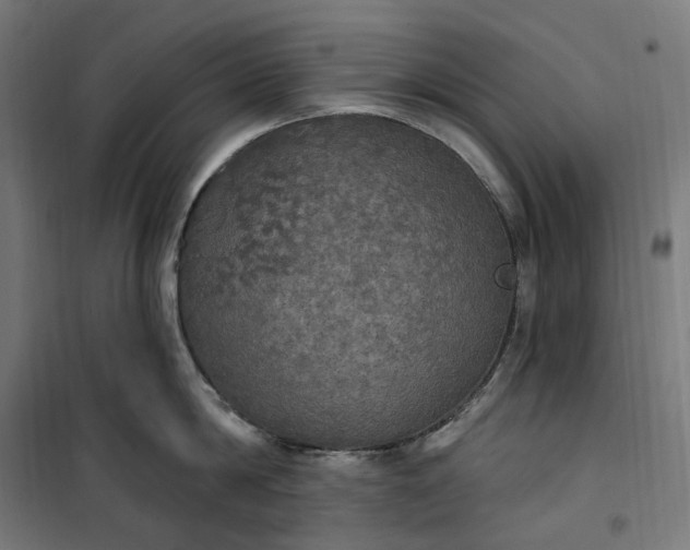 X0000100500814200806201713