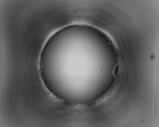 X0000100500815200806201713