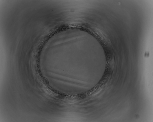 X0000100500817200806201713