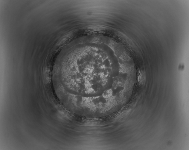 X0000100500819200806201713