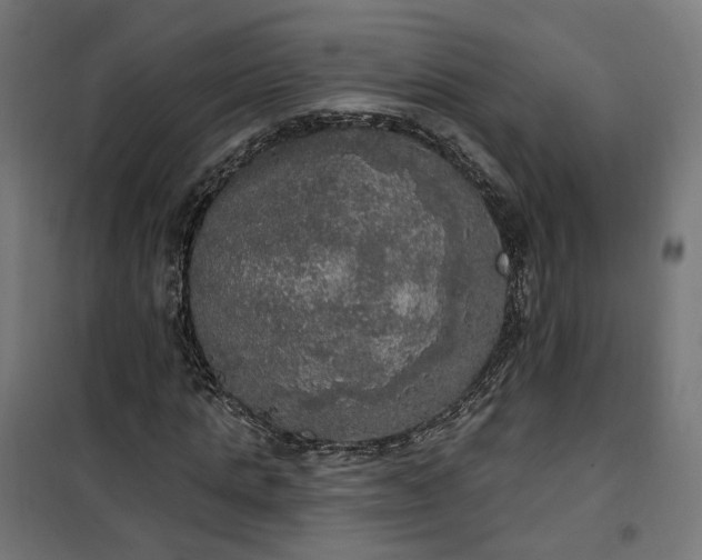 X0000100500821200806201713