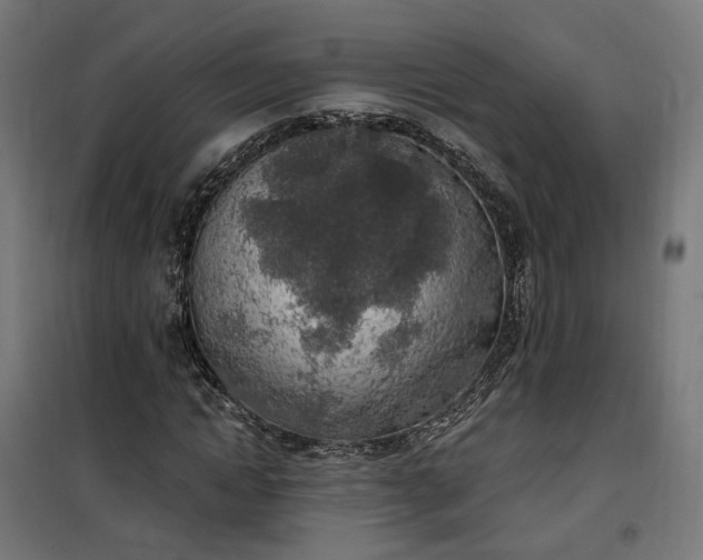 X0000100500822200806201713