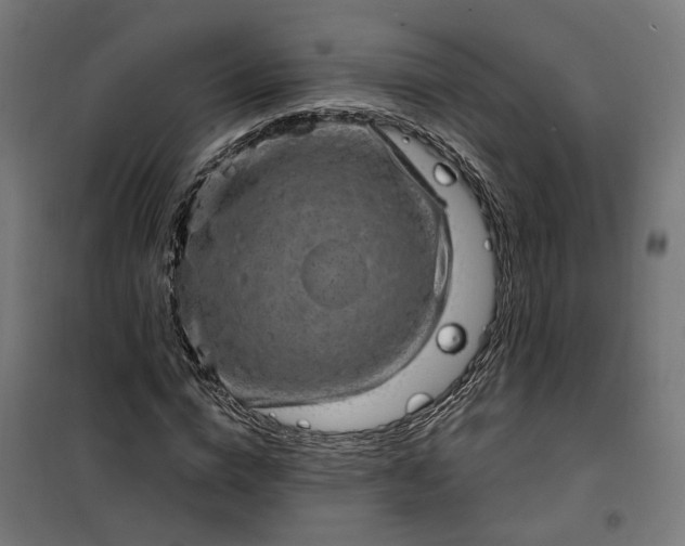 X0000100500824200806201713