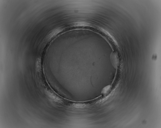 X0000100500825200806201713