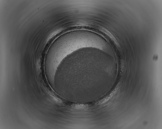 X0000100500826200806201713