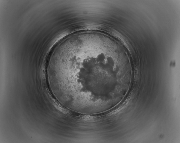 X0000100500827200806201713