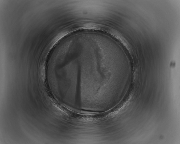 X0000100500829200806201713