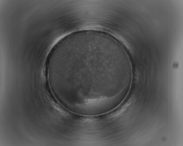 X0000100500830200806201713