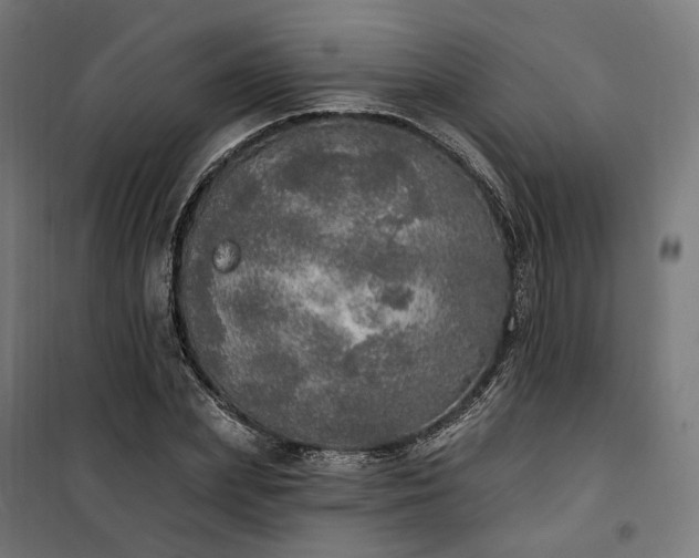 X0000100500831200806201713