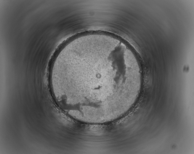 X0000100500832200806201713