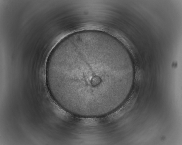 X0000100500836200806201713