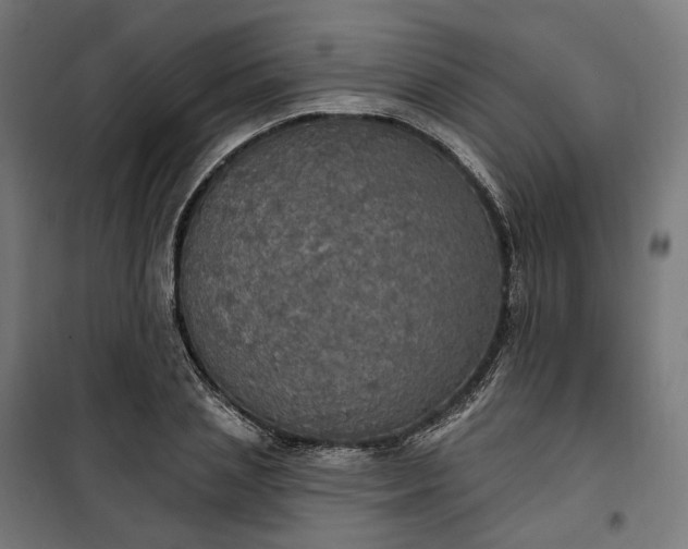 X0000100500837200806201713