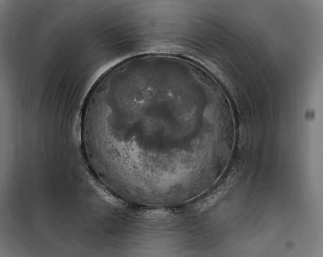 X0000100500838200806201713