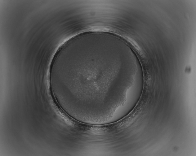 X0000100500840200806201713