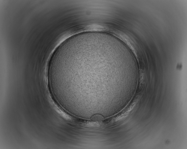 X0000100500843200806201713