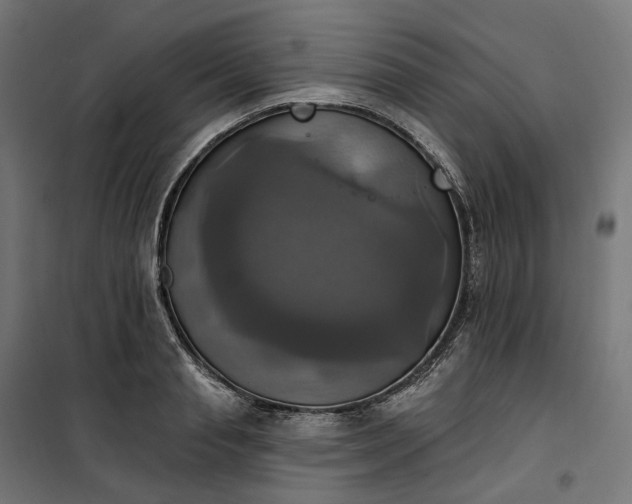 X0000100500845200806201713