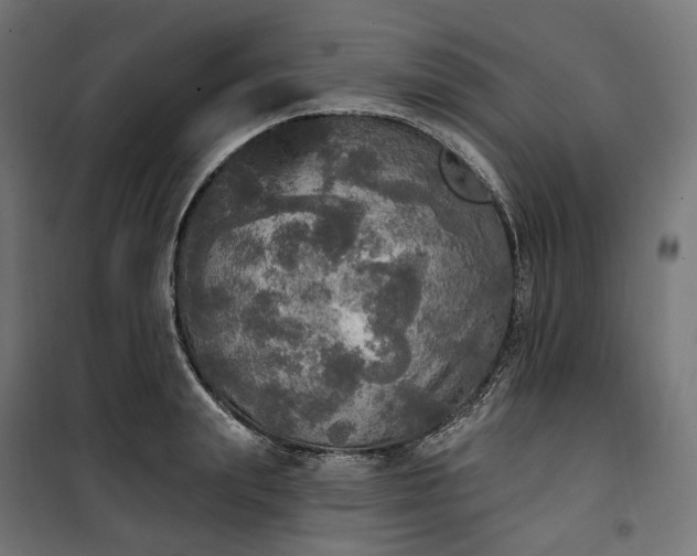 X0000100500847200806201713