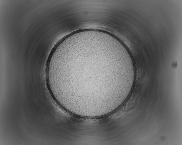 X0000100500848200806201713