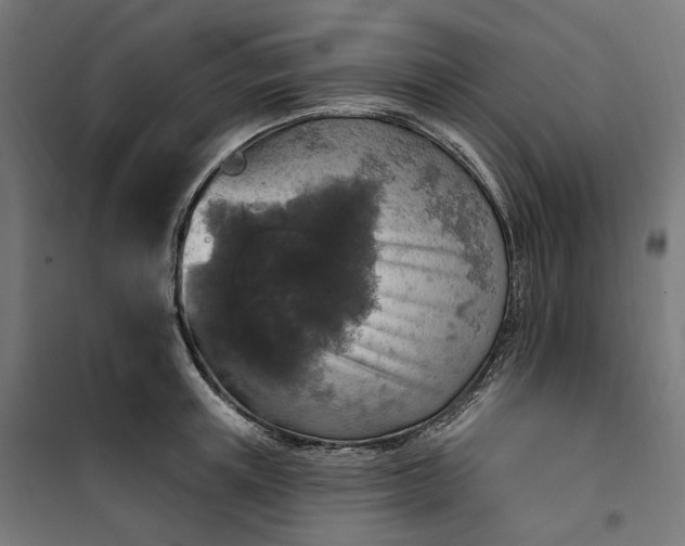 X0000100500851200806201713