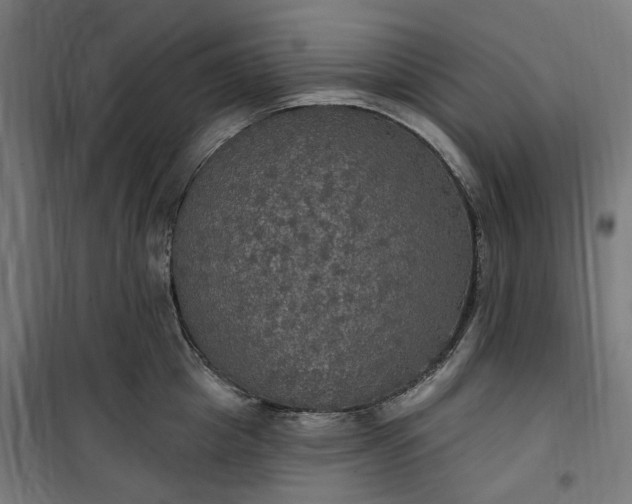 X0000100500857200806201713