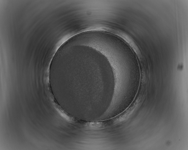 X0000100500858200806201713