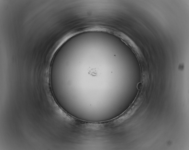 X0000100500860200806201713