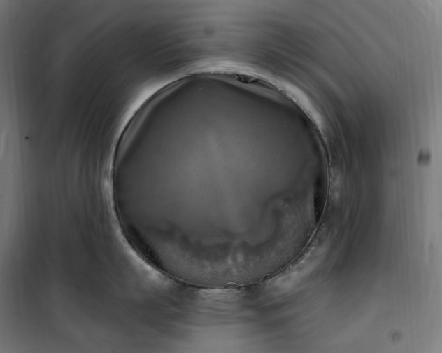 X0000100500863200806201713