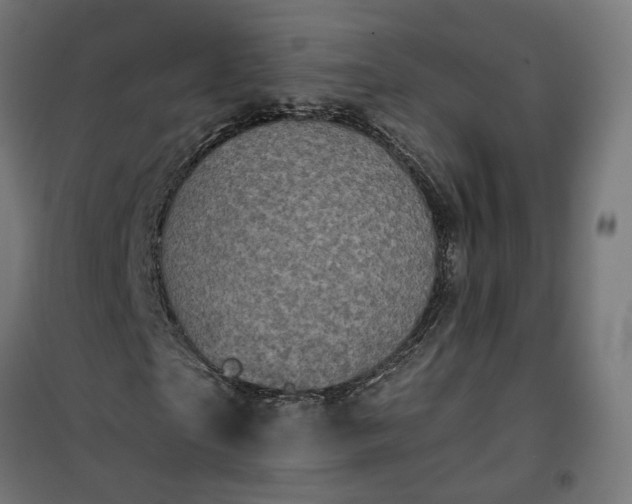 X0000100500865200806201713