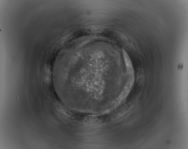 X0000100500866200806201713