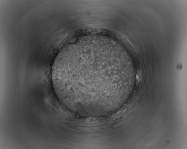 X0000100500867200806201713