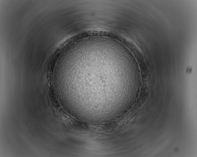 X0000100500870200806201713