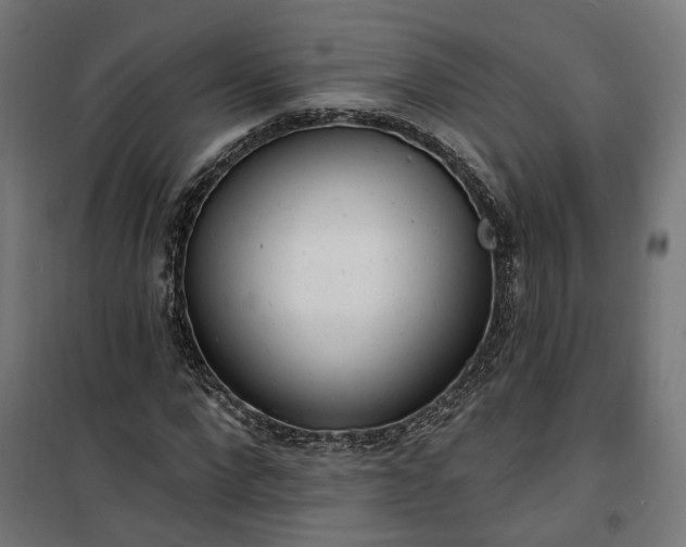 X0000100500872200806201713