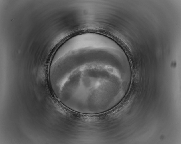 X0000100500874200806201712