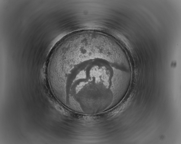 X0000100500875200806201712