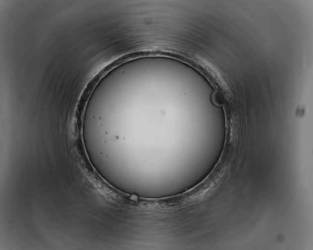 X0000100500876200806201712