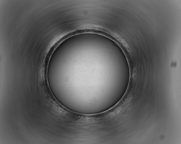 X0000100500877200806201712