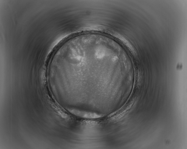 X0000100500878200806201712