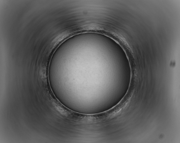 X0000100500881200806201712